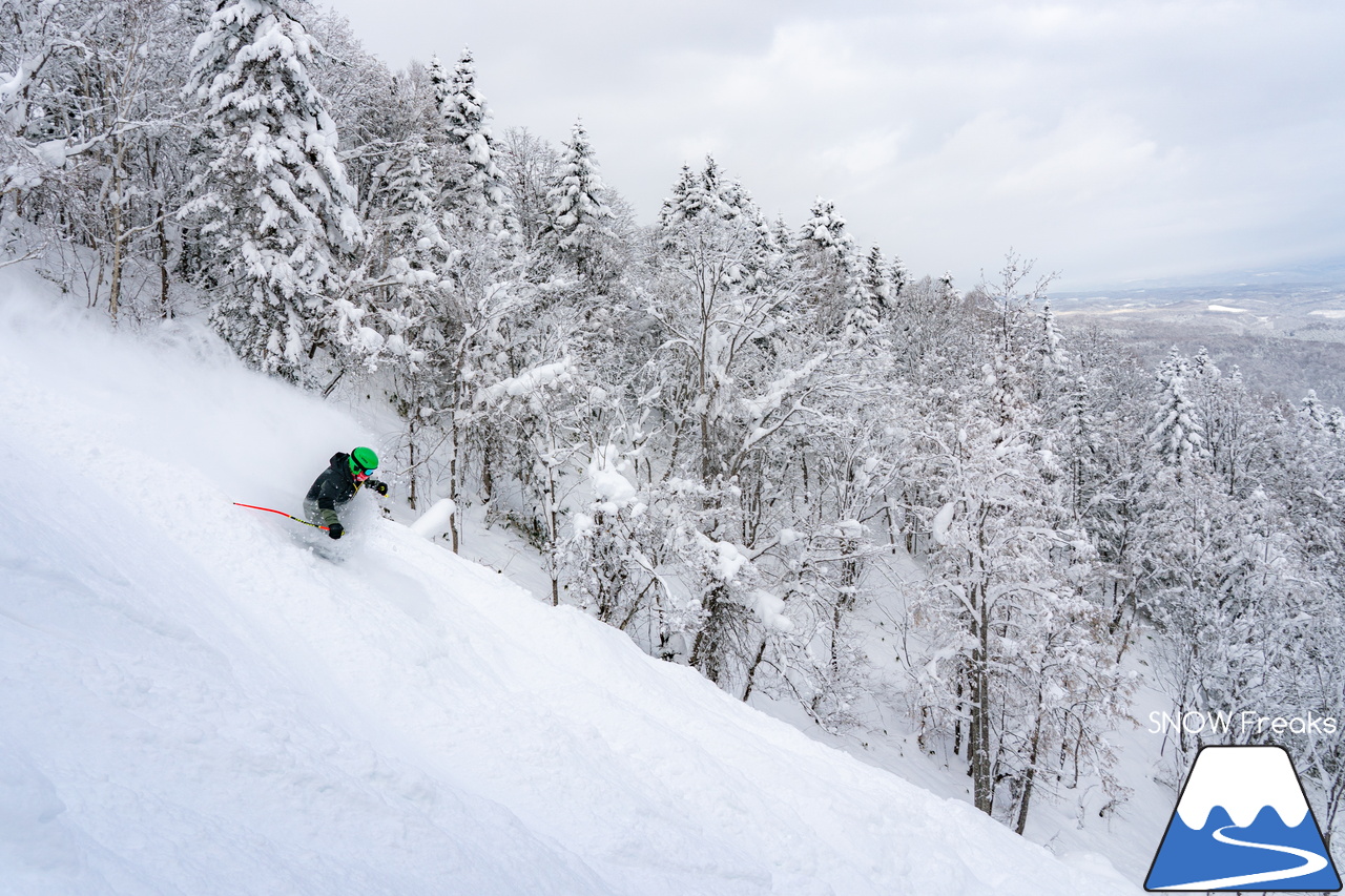 士別市日向スキー場　地元スキーヤーの皆さんと一緒に道北屈指の豪雪パウダーを心ゆくまで、滑る、滑る、滑る！